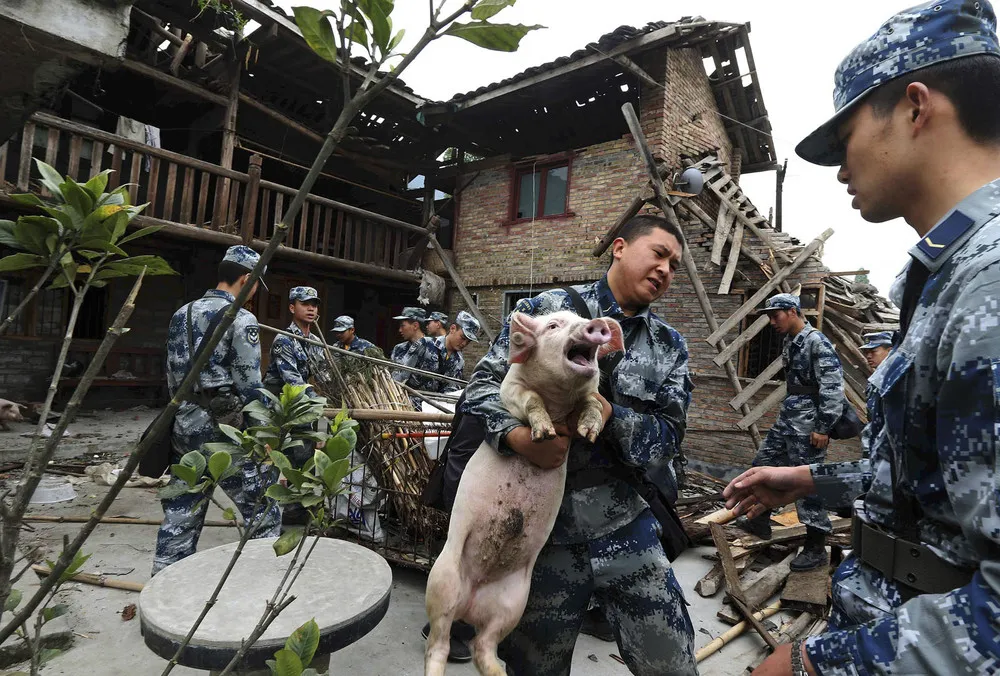The Week in Pictures: Animals, April 20 – April 26, 2013