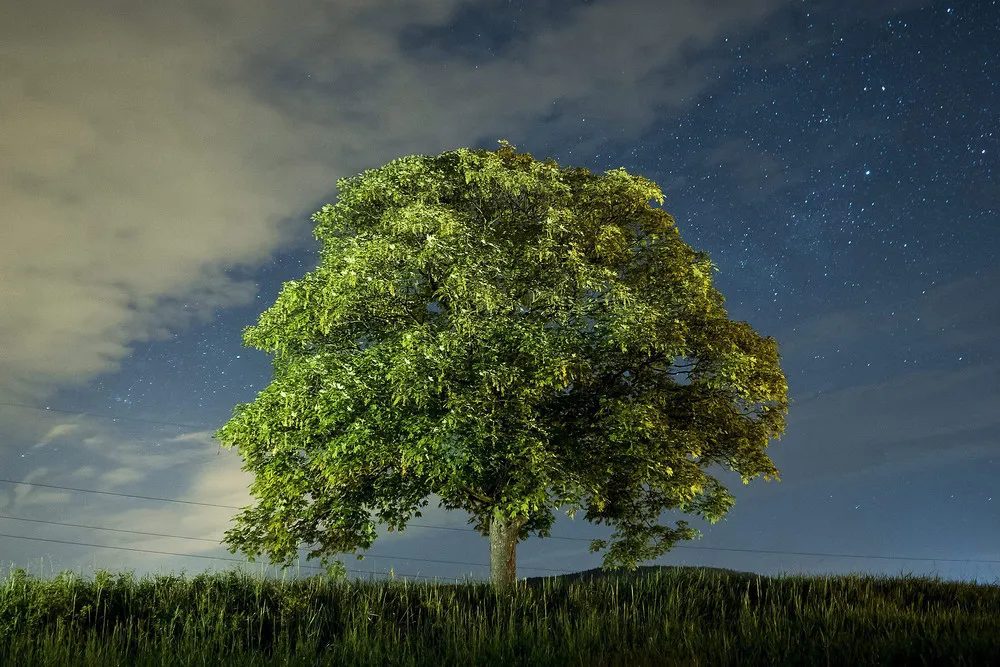 Simply Some Photos: Nature