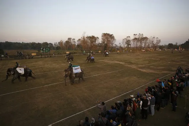 People watch elephants race towards the finishing line during an Elephant Festival event at Sauraha in Chitwan, about 170 km (106 miles) south of Kathmandu December 26, 2014. (Photo by Navesh Chitrakar/Reuters)