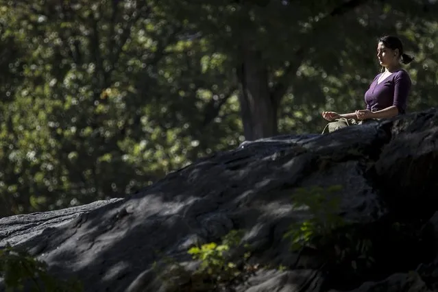 A woman sits on a rock in the mid-afternoon sun and meditates in Central Park in the Manhattan borough of New York October 20, 2015. (Photo by Carlo Allegri/Reuters)