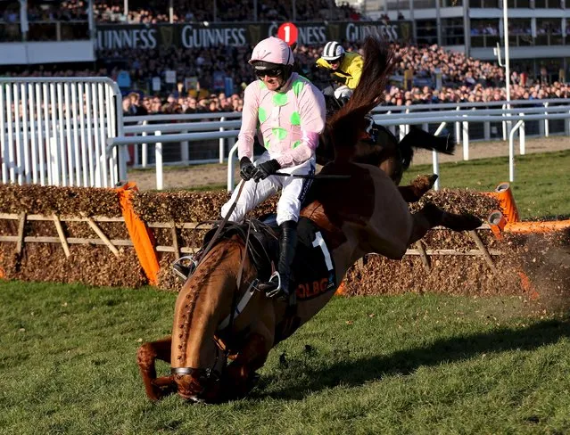 Ruby Walsh on Annie Power falls at the last during the 16:00 OLBG Mares' Hurdle (Registered As The David Nicholson Mares' Hurdle) at the Cheltenham Festival in Cheltenham, Britain, March 10, 2015. (Photo by Matthew Childs/Reuters)
