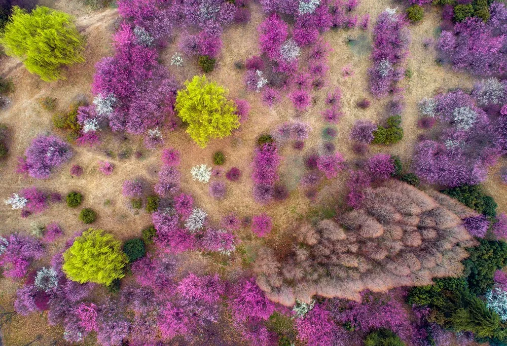 View from Above, Part 1/2