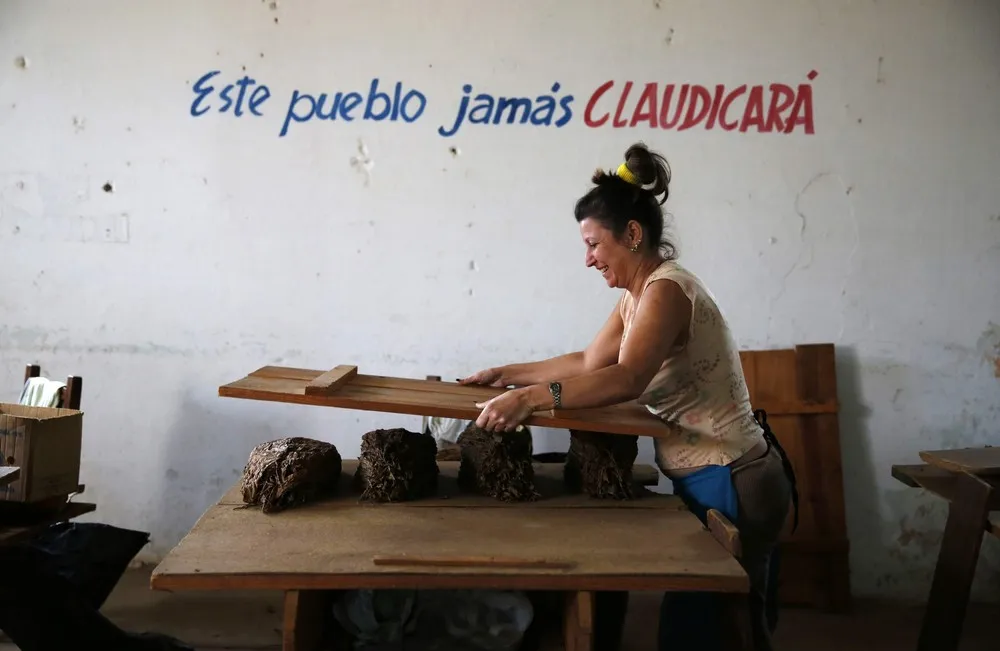 Tobacco Busines in Cuba