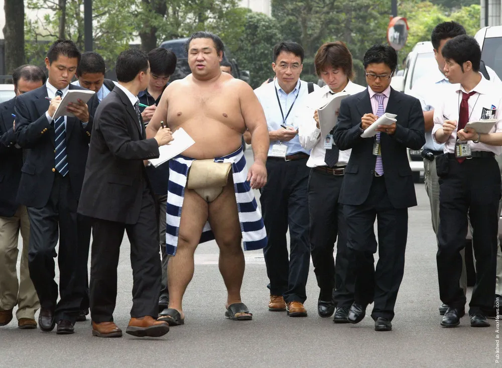 Amazing Sumo