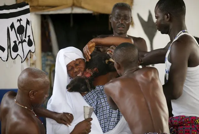 A devotee is guided by voodoo priests as she goes into a trance at the annual voodoo festival in Ouidah, Benin, January 10, 2016. (Photo by Akintunde Akinleye/Reuters)