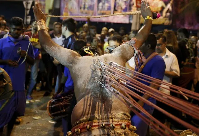 A Hindu devotee, who has metal hooks attached to his back, walks to Batu Caves during Thaipusam in Kuala Lumpur, Malaysia, January 24, 2016. (Photo by Olivia Harris/Reuters)