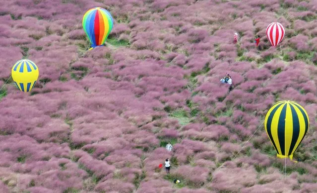 This aerial photo taken on October 6, 2023 shows people taking photos among pink muhly grass at a park in Nanjing, in China's eastern Jiangsu province. (Photo by AFP Photo/China Stringer Network)