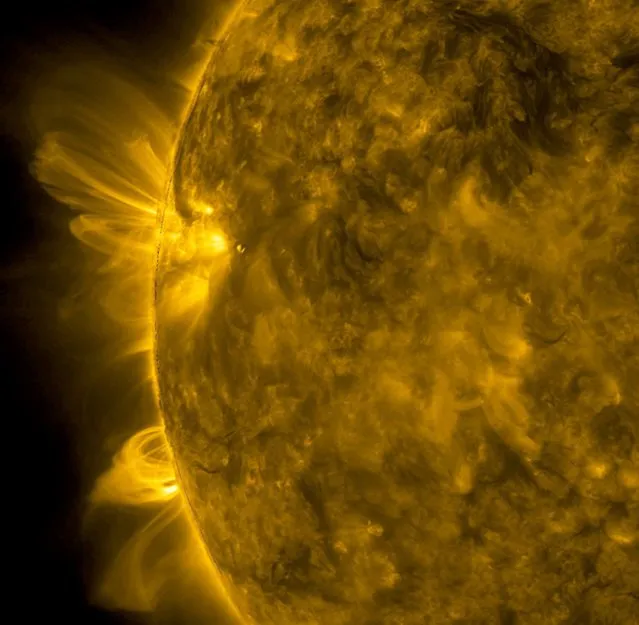A handout picture made available by NASA's Solar Dynamics Observatory (SDO) on 21 April 2016 shows arches of magnetic field lines towered over the edge of the Sun as a pair of active regions began to rotate into view, in space, 05 April 2016. Active regions are intense areas of competing magnetic forces that are embedded below the Sun's surface. (Photo by EPA/NASA/SDO)