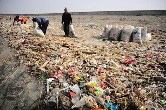 Workers clear garbage at the bank of Yangtze River in Taicang, Jiangsu province, China, December 23, 2016. (Photo by Reuters/Stringer)