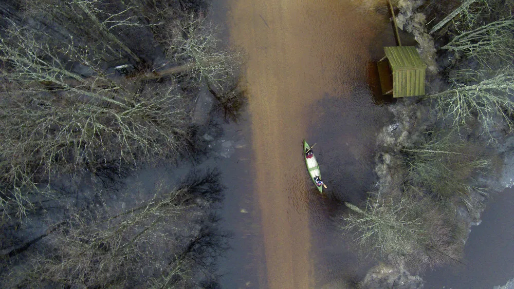 Canoe Tour in the Flooded Forest