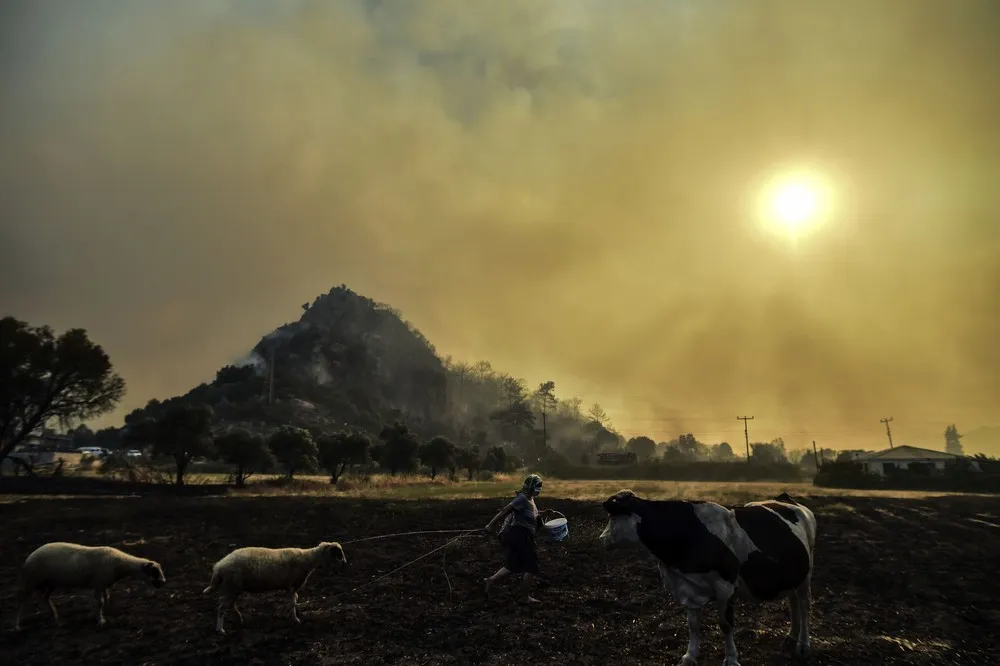 Turkey Battles Wildfires