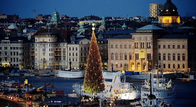 A 36-meter tall traditional Christmas tree is lit up in Stockholm. (Photo by Johan Nilsson/TT News Agency)