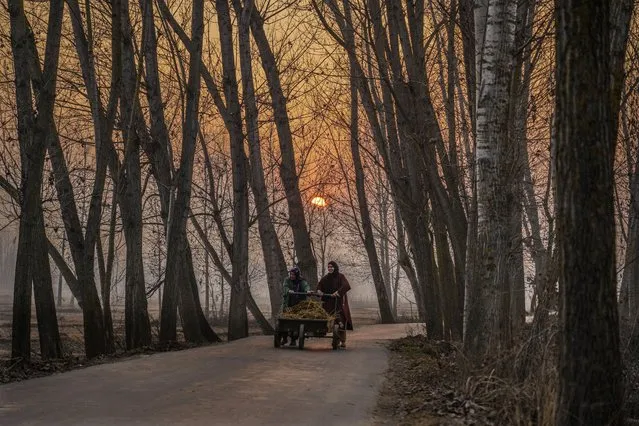 Kashmiri women push a handcart as the sun sets on a cold day on the outskirts of Srinagar, Indian controlled Kashmir, Sunday, January 14, 2024. (Photo by Mukhtar Khan/AP Photo)