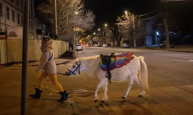 A woman walks with a pony on a street at night, amid Russia's attack on Ukraine, in central Odesa, Ukraine, on February 7, 2024. (Photo by Thomas Peter/Reuters)