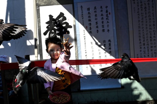 A girl feeds pigeons outside a Chinese temple during Lunar New Year celebrations in Yangon, Myanmar on February 5, 2019. (Photo by Ye Aung Thu/AFP Photo)