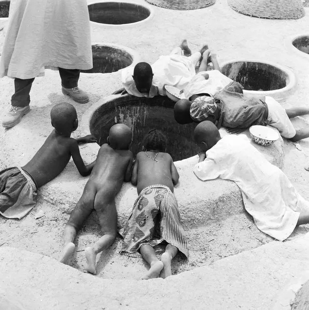 Children peer into one of the indigo dye pits, used for dyeing cloth in Kano, northern Nigeria, on October 1959. (Photo by Keystone Features/Getty Images)