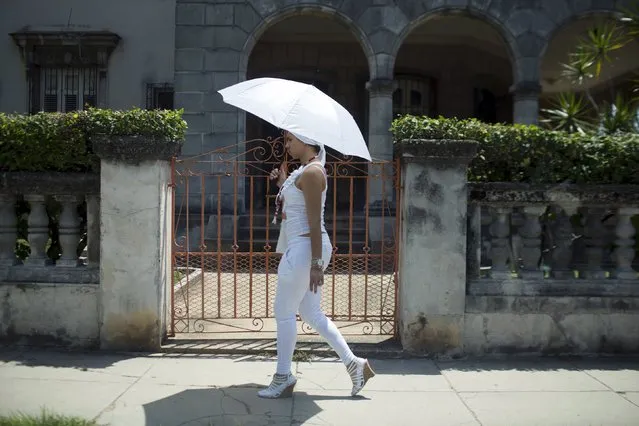 A woman dressed in white in accordance with the Afro-Cuban religion Santeria walks with an umbrella to shield herself from the sun in Havana, Cuba July 3, 2015. Pope Francis will be visiting Cuba from September 19 to September 22. (Photo by Alexandre Meneghini/Reuters)