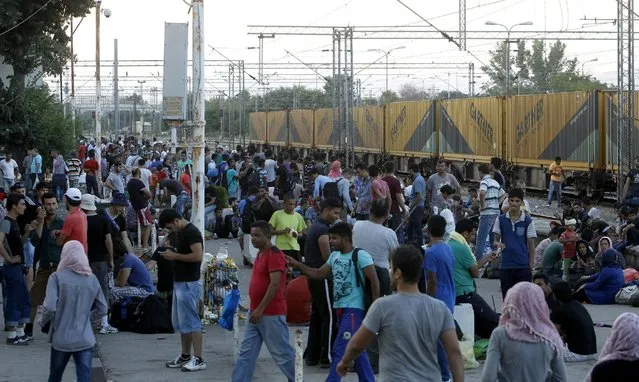 In this photo taken on Thursday, July 23, 2015 migrants from Middle East, Asia and Africa wait to board a train to Serbia at the railway station in the southern Macedonian town of Gevgelija. (Photo by Boris Grdanoski/AP Photo)