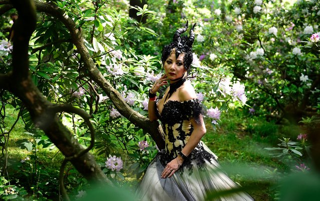 A dressed up woman attends a so-called “Victorian Picnic” during the Wave-Gotik-Treffen (WGT) festival in Leipzig, eastern Germany, on June 2, 2017. (Photo by Tobias Schwarz/AFP Photo)