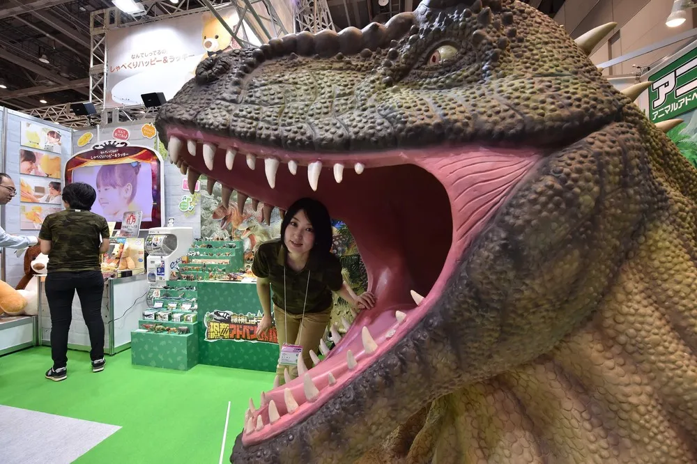 Tokyo Toy Show