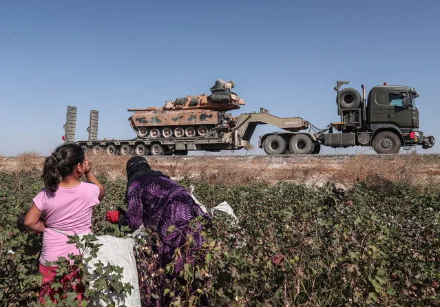 Seasonal workers cut a cotton while Turkish military vehicles carrying tanks as they are on the way to Northern Syria for a military operation in Kurdish areas, near the Syrian border, near Akcakale district in Sanliurfa, Turkey 12 October 2019. Turkey has launched an offensive targeting Kurdish forces in north-eastern Syria, days after the US withdrew troops from the area. (Photo by Sedat Suna/EPA/EFE)