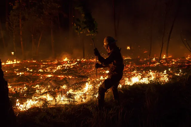 A firefighter from the National Republican Guard GIPS tries to control a fire in a forest after a wildfire took dozens of lives on June 19, 2017 near Pedrogao Grande, in Leiria district, Portugal. On Saturday night a forest fire became uncontrollable in the Leiria district, killing at least 62 people and leaving many injured. Some of the victims died inside their cars as they tried to flee the area. (Photo by Pablo Blazquez Dominguez/Getty Images)