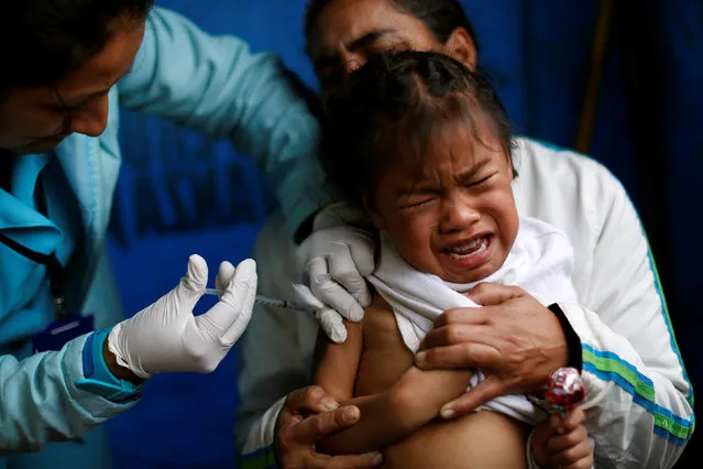 A girl is vaccinated against influenza during a vaccination campaign in Lima, Peru, June 23, 2016. (Photo by Janine Costa/Reuters)