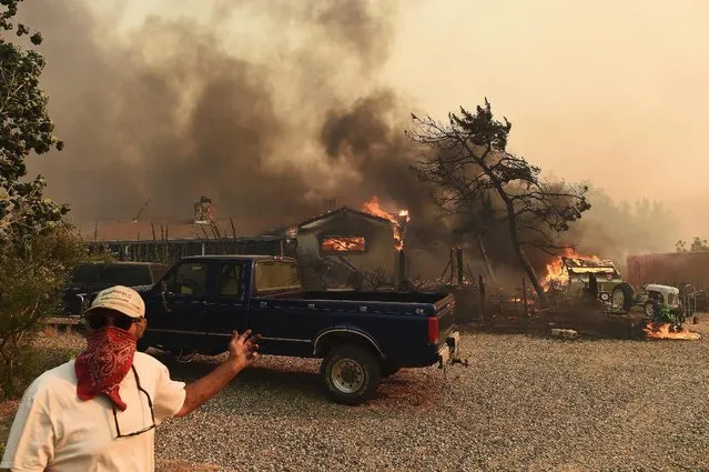 A resident gestures towards a burning home as the Erskine Fire burns near Weldon, California, U.S. June 24, 2016. (Photo by Noah Berger/Reuters)