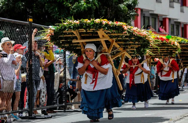 Womjen carry flower arrangements during the traditional “Silleteros” parade, held as part of the Flower Festival in Medellin, Antioquia department, Colombia, on August 7, 2017. (Photo by Joaquin Sarmiento/AFP Photo)