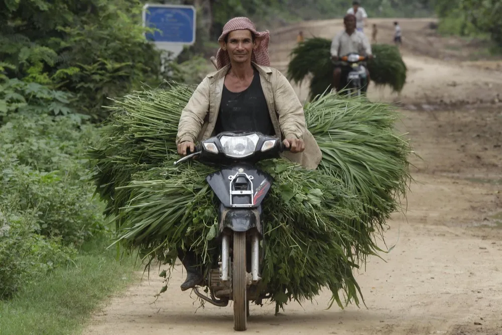 The Day in Photos – July 7, 2016