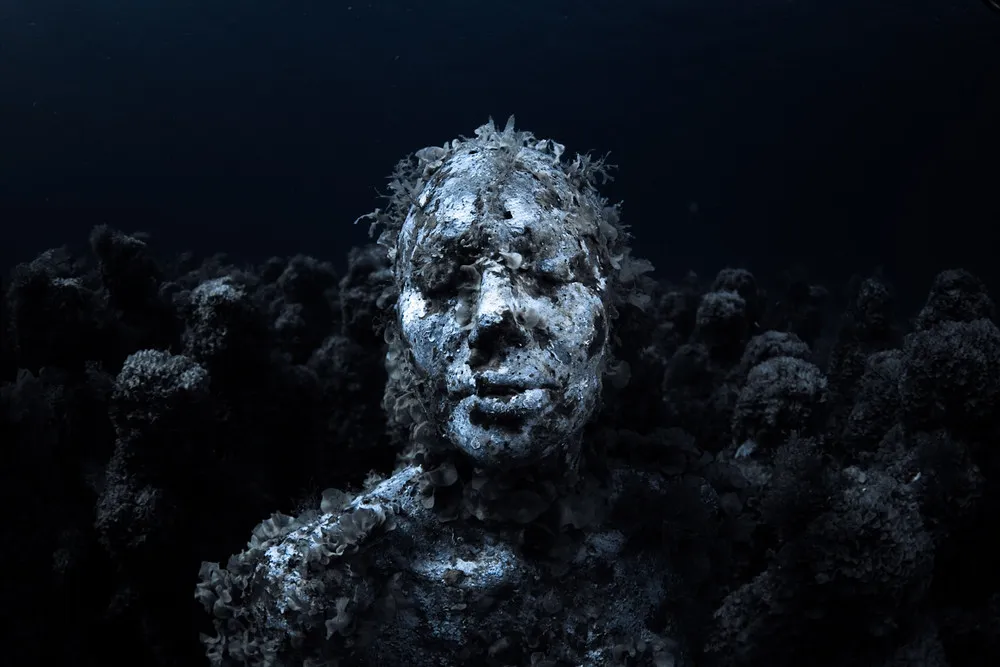 A Monumental Underwater Museum “MUSA”