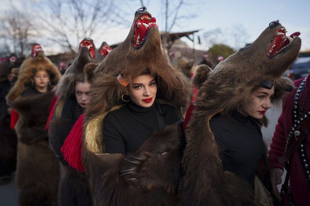 Members of a traditional bear pack take part in a parade before performing in a festival in Moinesti, northern Romania, Wednesday, December 27, 2023. Centuries ago, people in what is now northeastern Romania would don bear fur and dance to fend off evil spirits. Nowadays, the unique custom thrives, with popular festivals drawing large crowds of locals and tourists. (Photo by Vadim Ghirda/AP Photo)