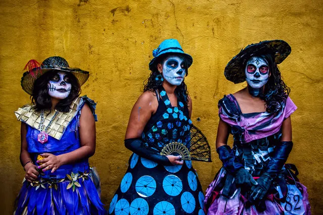 “Painted Ladies”. Young women dress up and have their faces painted to celebrate the dead. Dia de los Muertos is an incredible celebration of life, and a beautiful way to remember those who have passed. Photo location: Oaxaca, Mexico. (Photo and caption by Daniel Kudish/National Geographic Photo Contest)