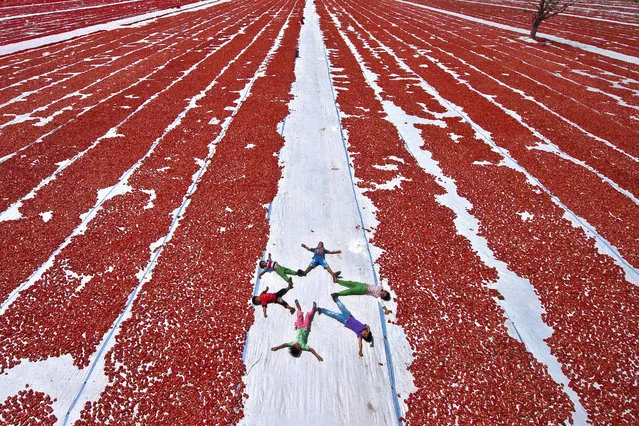 “Heaven of dried tomatoes”. Kinik, the district of Manisa in Turkey, well known place for dried tomatoes. Despite the difficult conditions, the children of workers having ability to keep their happiness at top level. Photo location: Turkey. (Photo and caption by Melih Sular/National Geographic Photo Contest)