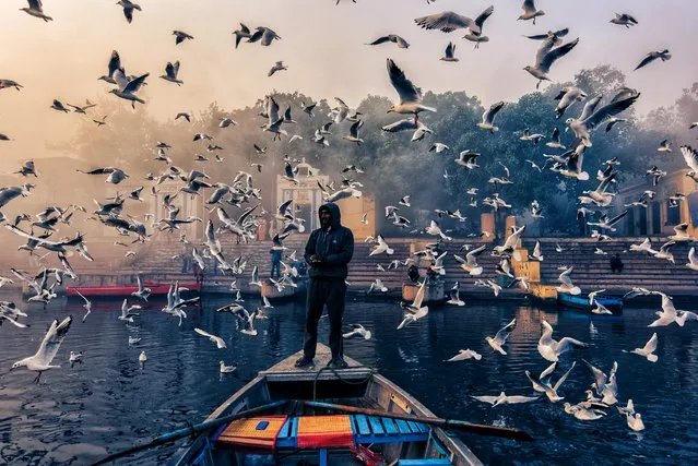 Breathtaking images of fluttering migratory seagulls in the backdrop of a misty morning have been captured on the banks of the river Yamuna in Delhi, India on December 8, 2022. Every year thousands of migratory birds, including seagulls, arrive at Delhi's Yamuna Ghat at the onset of winter. The seagulls start coming around October and leave in February dressed in breeding finery for their breeding season. (Photo by Manojit Mitra/Media Drum Images)