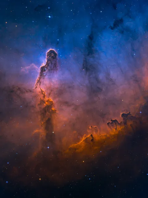 Stars and nebulae highly commended: The Misty Elephant’s Trunk by Min Xie (USA). The photographer imaged IC 1396, known as the Elephant’s Trunk, in the Hubble palette from my light-polluted backyard in Coppell, Texas. This image presents the Elephant’s Trunk surrounded by the emission clouds with a misty feeling and an emphasised blue doubly-ionised oxygen area as the background. It gives the feeling of the trunk emerging from the distance. (Photo by Min Xie/2020 Astronomy Photographer of the Year)
