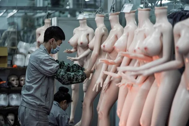 This photo taken on February 1, 2018 shows a worker preparing silicone dolls at a factory of EXDOLL, a firm based in the northeastern Chinese port city of Dalian. With China facing a massive gender gap and a greying population, a company wants to hook up lonely men and retirees with a new kind of companion: “Smart” s*x dolls that can talk, play music and turn on dishwashers. The company makes 400 custom dolls per month, up from 10 in 2009. It began research into sexbots in mid-2016 and now employs 120 people with plans to expand. On the factory floor for “traditional” s*x dolls, buyers can customise each doll for height, skin tone, breast size, amount of pubic hair, eye colour and hair colour. But the most popular dolls have pale skin, huge boobs and measure between five foot two and five foot seven tall. EXDOLL has ambitions to apply artificial intelligence to make dolls so lifelike that they could cure loneliness among the country's huge singletons population. There are 33.6 million more men than women in the country of 1.4 billion people which means many frustrated young men getting little or no bedroom action. Seated between two non-robotic silicon companions, one in a short black skirt and a smaller model in a schoolgirl outfit, marketing director Wu Xingliang explained his company's products could solve this. He said: “China has a shortage of women, and this is a factor in why there's this demand, but they're not just for s*x”. This is because the bots can also have conversations and do some household chores. The country is estimated to make more than 80 per cent of the world's s*x toys, with over a million people employed in the country's $6.6billion industry. In the next year, EXDOLL hopes to roll out more advanced robots featuring artificial intelligence technology, complex facial expressions and body movements, voice recognition systems and eyes that can follow people's movements. (Photo by Fred Dufour/AFP Photo)