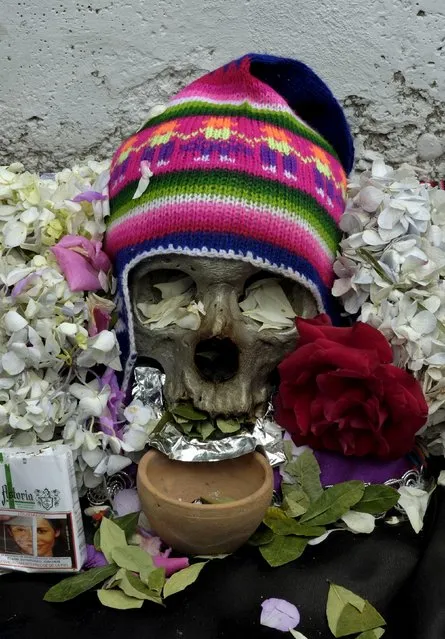A skull is pictured during a ceremony held for the "Dia de las natitas" (Day of the Skull) celebrations at the General Cemetery of La Paz, November 8, 2015. (Photo by David Mercado/Reuters)