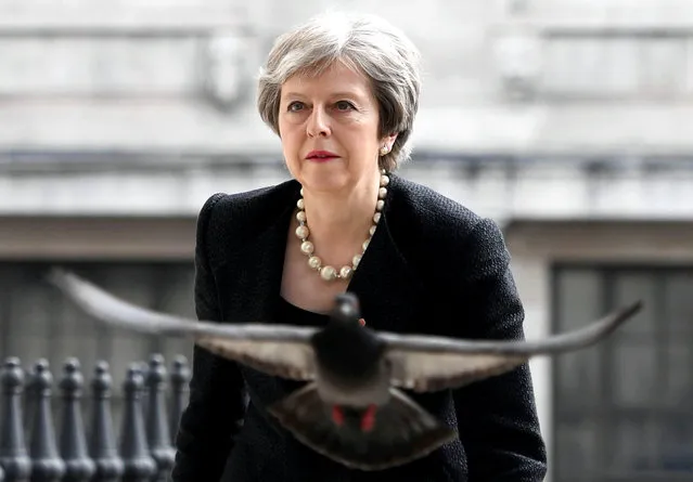 A pigeon flies ahead of Britain's Prime Minister Theresa May as she arrives at a service at St Martin-in-The Fields to mark 25 years since Stephen Lawrence was killed in a racially motivated attack, in London, Britain, April 23, 2018. (Photo by Victoria Jones/Pool via Reuters)