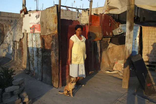 “La Loba, Chimalhuacán, ME, MX”. (Fermìn Guzmàn)