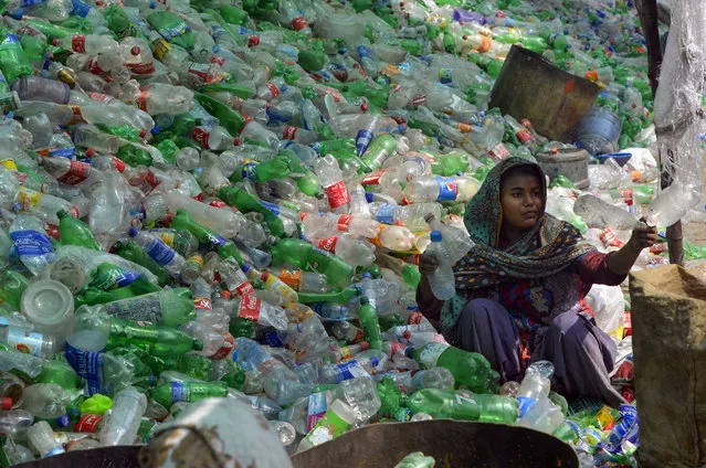 A Pakistani worker sorts out plastic bottles at a warehouse in Lahore on May 10, 2018. (Photo by Arif Ali/AFP Photo)