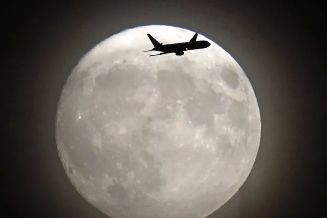 A commerical jet flies in front of the moon on its approach to Heathrow airport in west London on November 13, 2016. Tomorrow, the moon will orbit closer to the earth than at any time since 1948, named a “supermoon”, it is defined by a Full or New moon coinciding with the moon's closest approach to the Earth. (Photo by Adrian Dennis/AFP Photo)