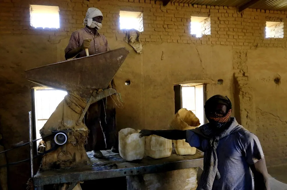 Tobacco Production in Sudan