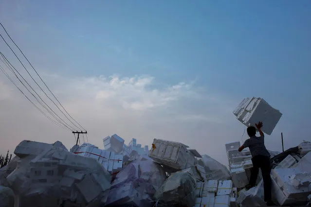 A man piles up styrofoam at a recycling yard at the edge of Beijing, China, September 21, 2016. (Photo by Thomas Peter/Reuters)