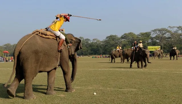 An elephant polo player from the Tiger Tops Vikings team hits the ball during the final of the 35th International Elephant Polo Competition at Kawasuti Gondhat, some 235km from Kathmandu, on December 2, 2016. Teams from across the world come every winter to southern Nepal to compete in the marquee tournament, one of the elite sport's most prestigious events. (Photo by Prakash Mathema/AFP Photo)