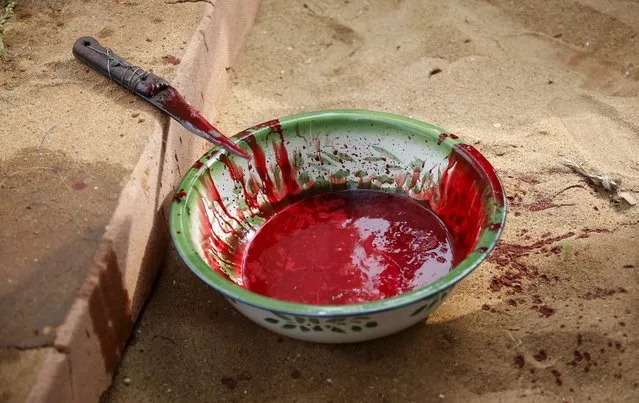 A knife is seen beside a bowl containing blood after a ram was killed as a sacrifice in front of a shrine at the annual voodoo festival in Ouidah, Benin, January 10, 2016. (Photo by Akintunde Akinleye/Reuters)