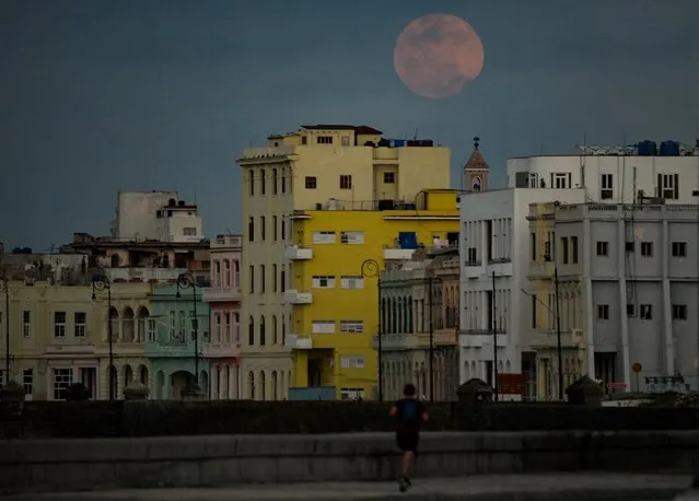 A full “Super Pink Moon” rises above Havana on April 26, 2021. (Photo by Yamil Lage/AFP Photo)