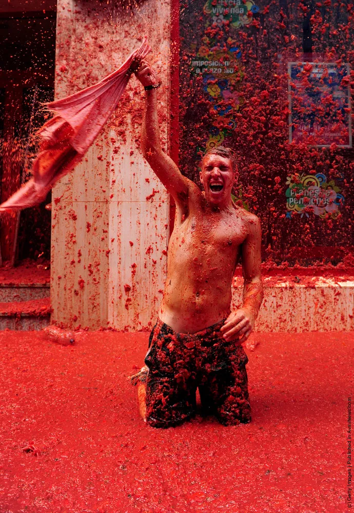 Tomato Fight