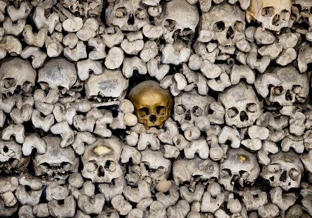 A skull painted gold stands out from amongst the 20,000 skeletons stored in the church ossuary of the Katharinenkirche in Oppenheim some 50 kilometers (30 miles) south of Frankfurt, Germany, Monday, January 7, 2019. (Photo by Michael Probst/AP Photo)