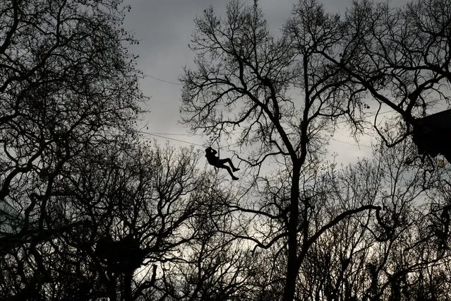 A protester occupies trees near the CremíArbre “Zone to be Defended” (ZAD) camp against the A69 motorway project between Toulouse and Castres, in Saix, southwestern France, on February 17, 2024. (Photo by Ed Jones/AFP Photo)